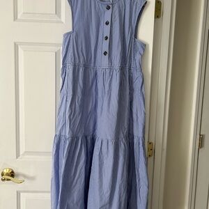 Everlane Blue and White Striped Button-Up Dress